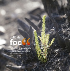Enllà del foc Enllà del foc